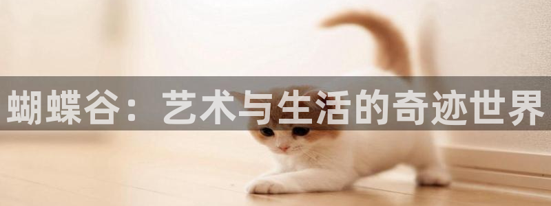 开丰娱乐168