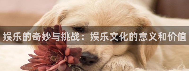 开丰娱乐地址