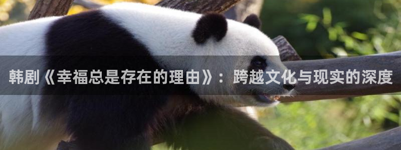 开丰娱乐地址