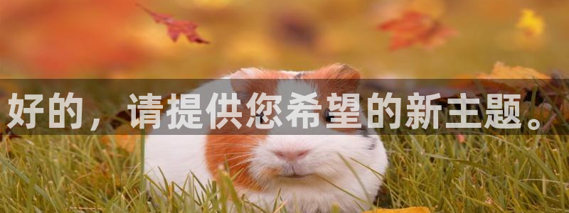 开丰娱乐168