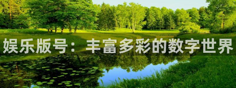 开丰娱乐168：娱乐版号：丰富多彩的数字世界