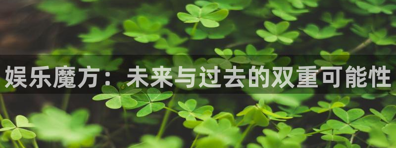 开丰娱乐：娱乐魔方：未来与过去的双重可能性