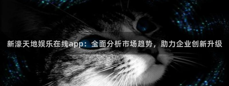 开丰娱乐地址：新濠天地娱乐在线app：全面分析市场趋势，助力企业创新升级
